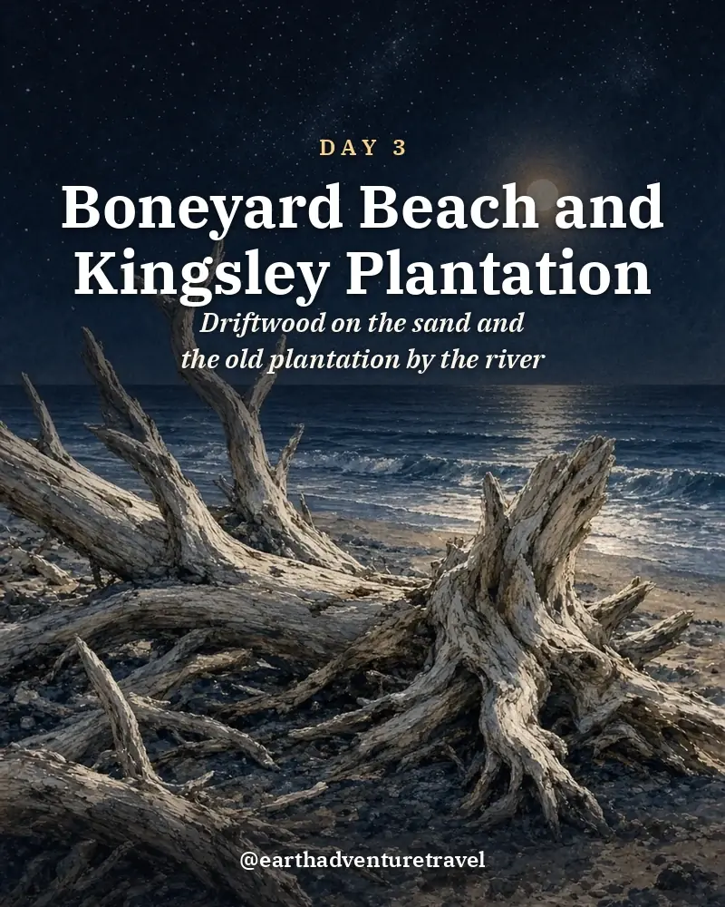 Illustrated day card: Driftwood on the sand and the old plantation by the river