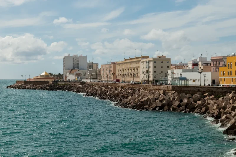 White houses and towers of the old town of Cádiz seen from above