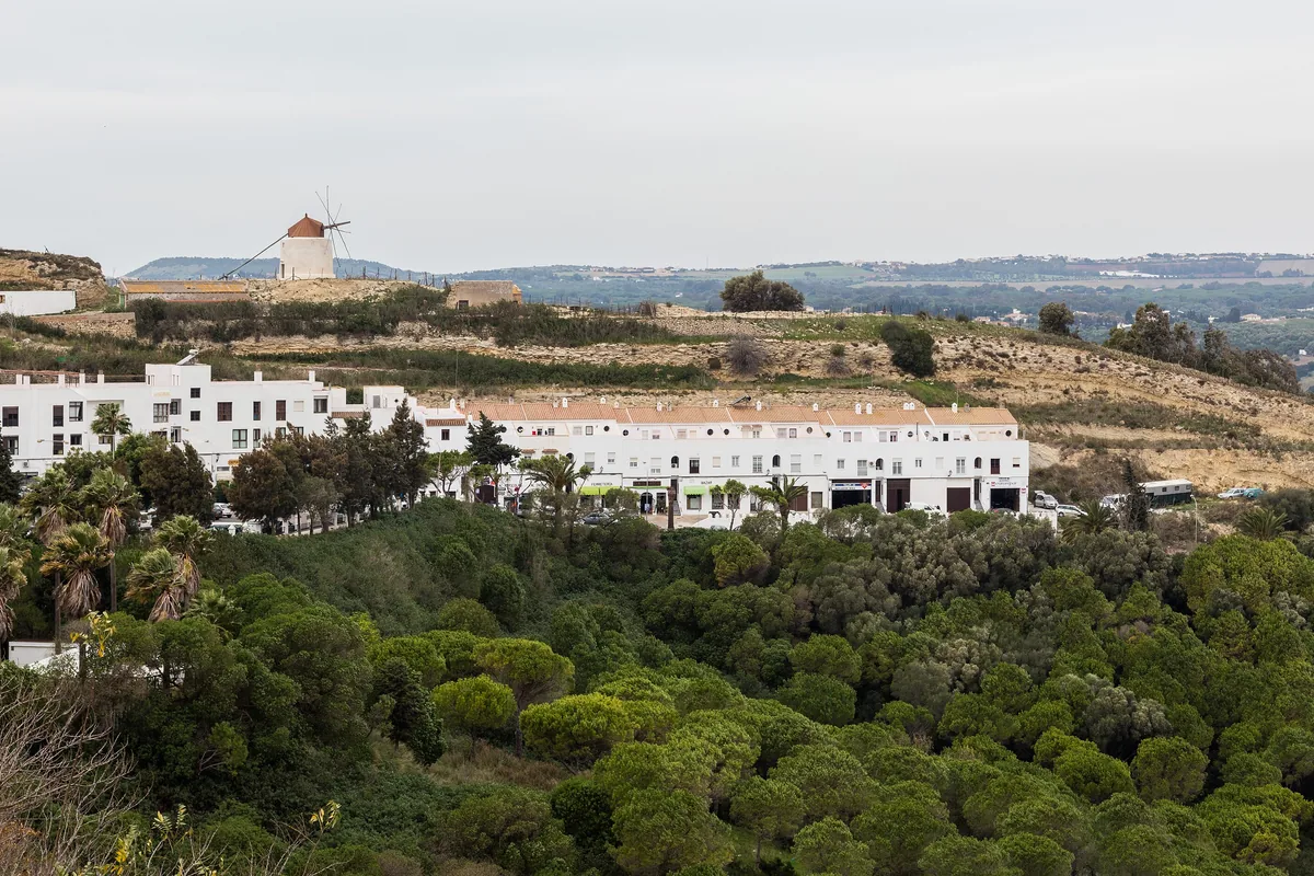 The white houses of Vejer de la Frontera on a hilltop above green fields