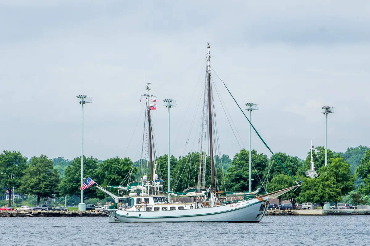 Annapolis harbor with a tall-masted schooner and moored boats in front of the waterfront