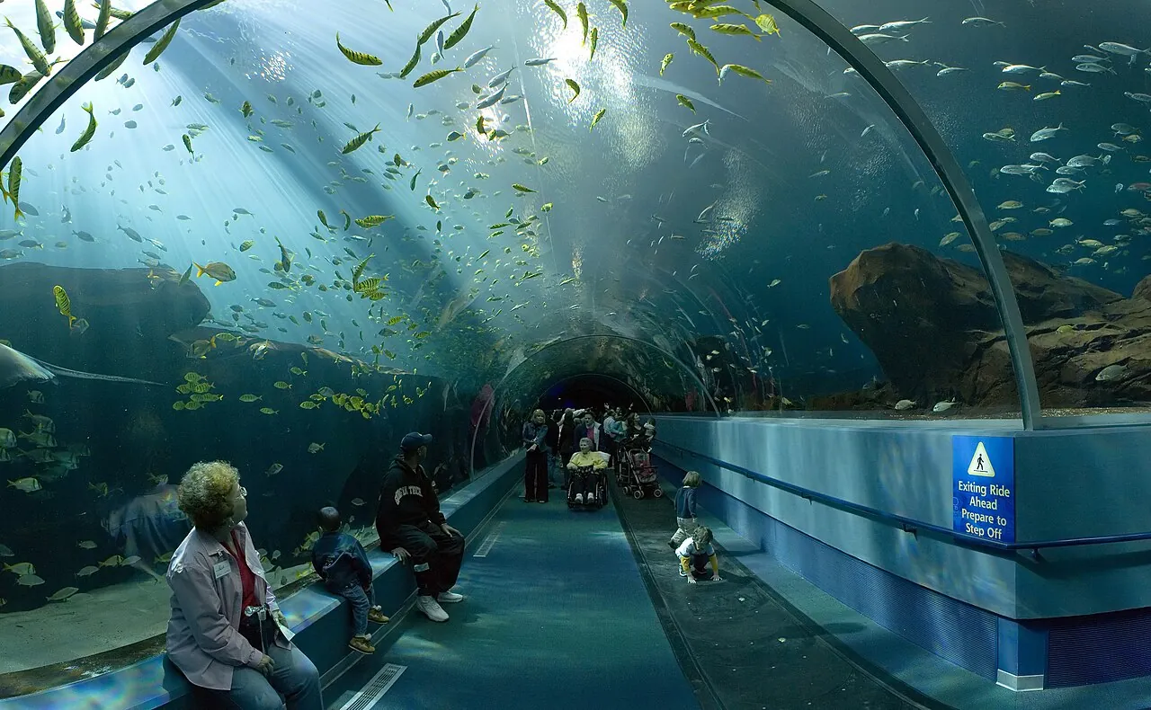 The Ocean Voyager tunnel at the Georgia Aquarium