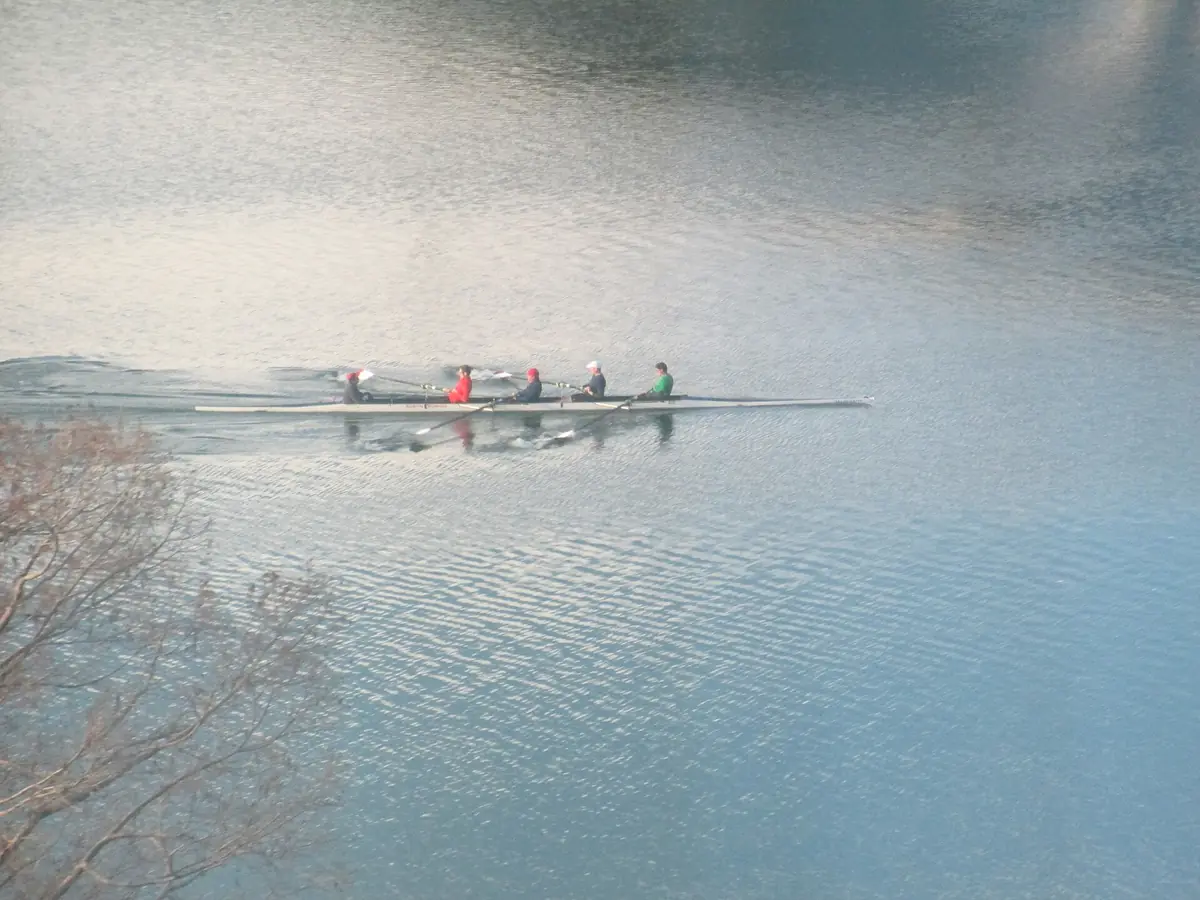 Rowers on Lady Bird Lake in Austin