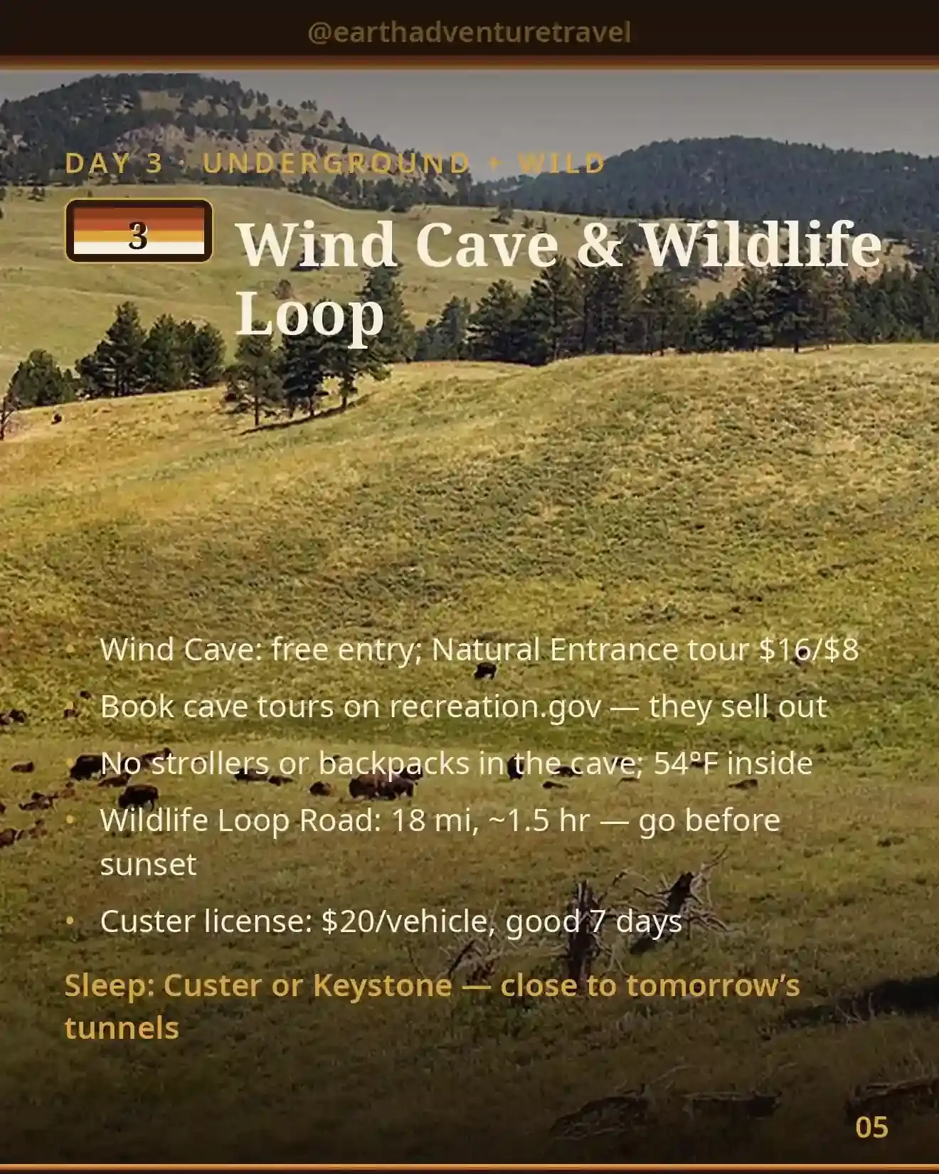 Day 3 itinerary card: Wind Cave tour and Wildlife Loop