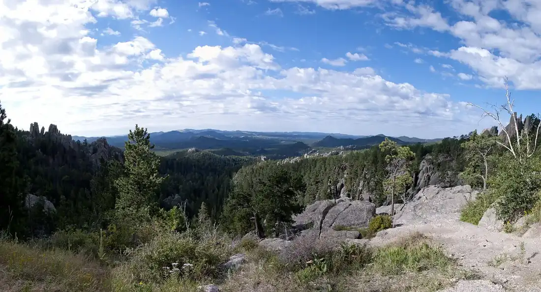 Granite needles and pines along the Needles Highway