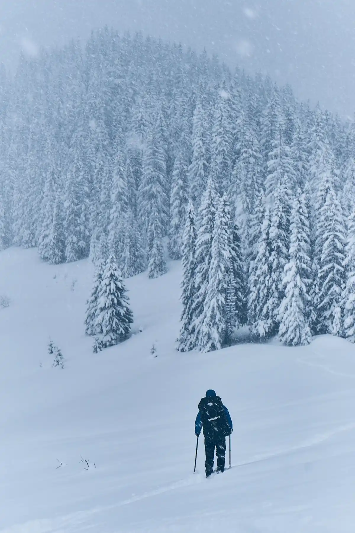 A snowshoer crossing a snowy forest meadow