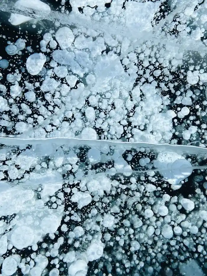 Methane ice bubbles trapped in the frozen surface of Abraham Lake