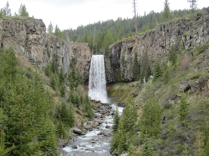 Tumalo Falls plunging through the pines