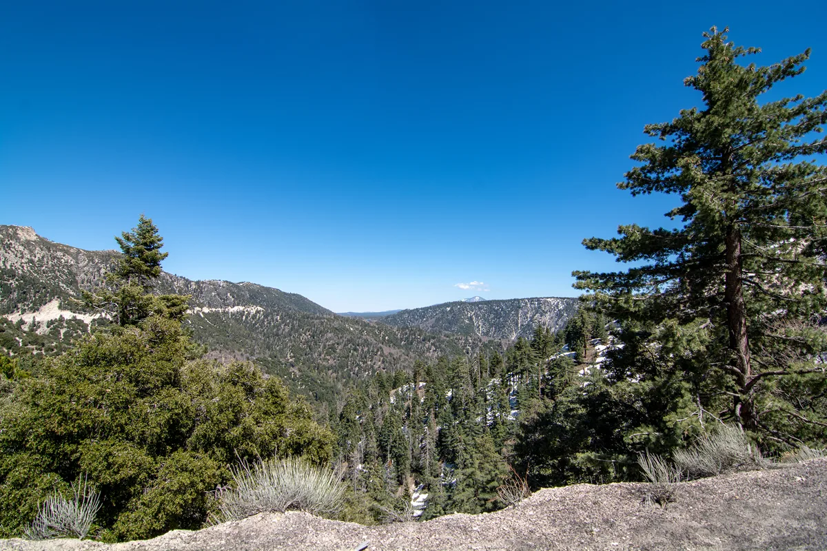 A wide view over pine-covered ridges of the San Bernardino Mountains near Big Bear under a clear blue sky