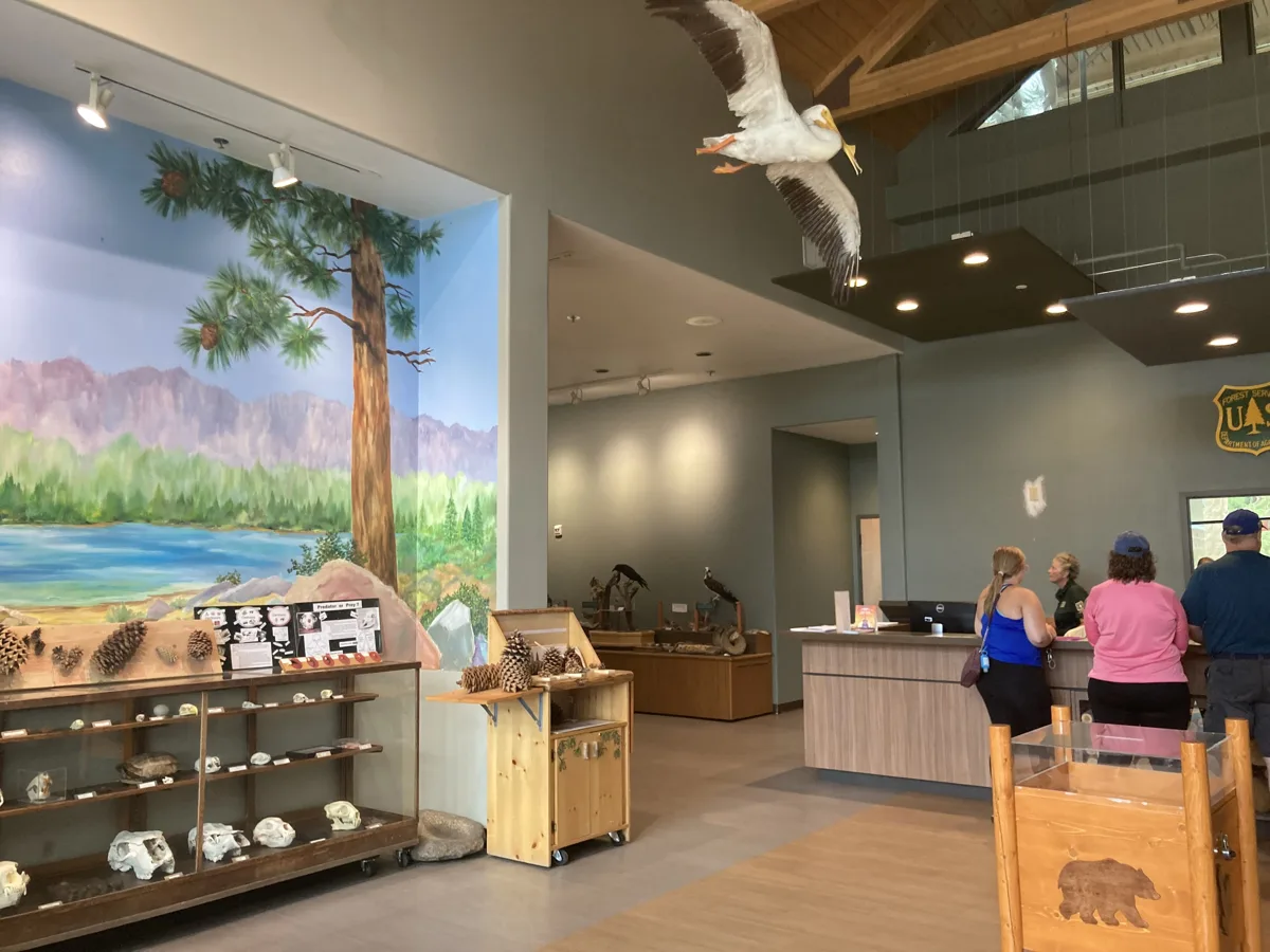 Inside the Big Bear Discovery Center, with a forest mural, exhibits and visitors at the information desk
