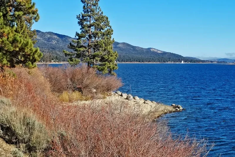 The rocky north shore of Big Bear Lake with pines, dry brush and blue water