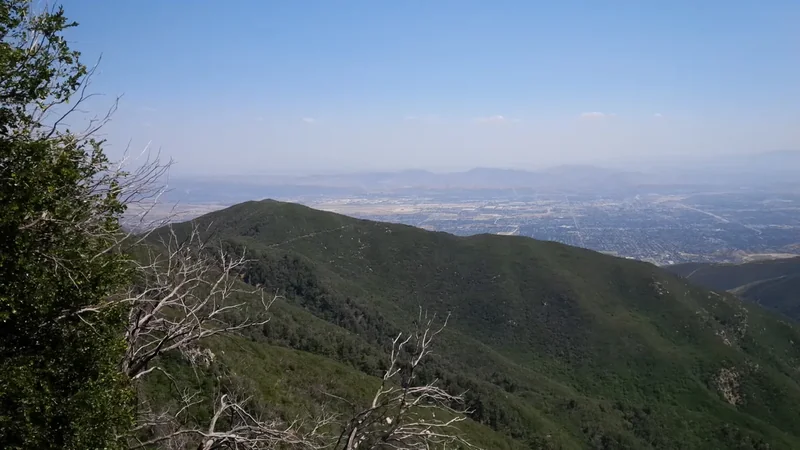 Pine-covered slopes falling away to a hazy valley from the Rim of the World Highway