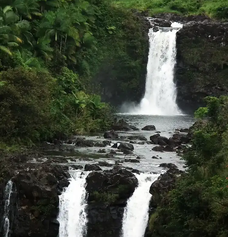 Waterfall in the Hawaiian rainforest