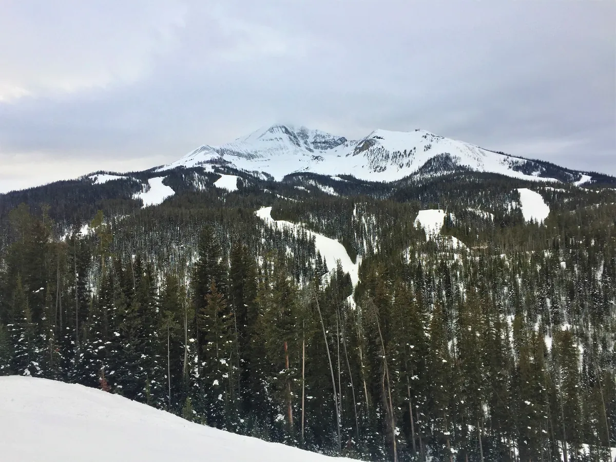 Lone Mountain under snow in January, its sharp summit above forested lower slopes and ski runs