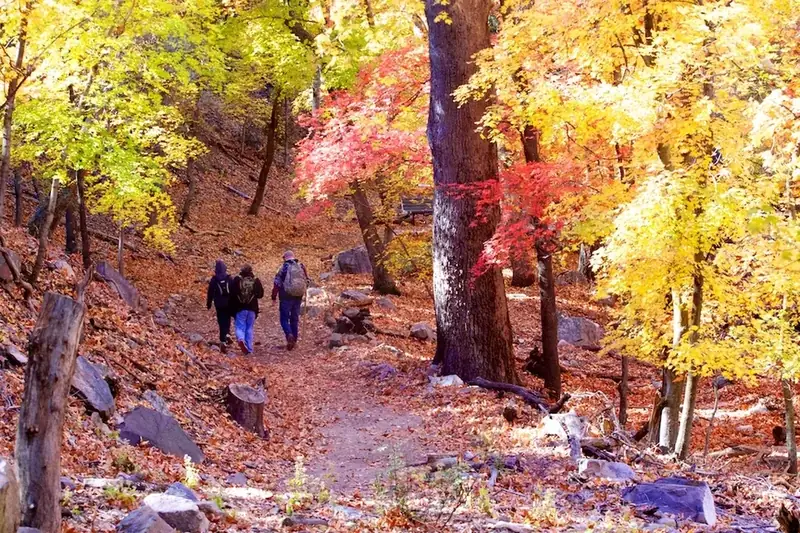 Postcard photo 3