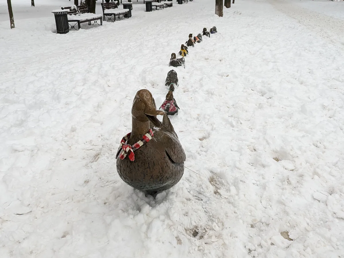 The bronze Make Way for Ducklings statues in a line along a snowy path in the Public Garden