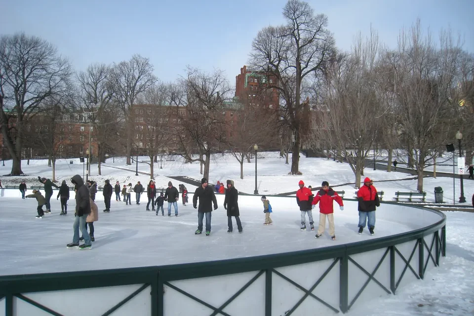 Skaters on the Frog Pond rink seen across a railing, with snow on the Common and bare trees beyond