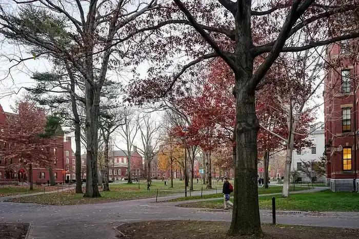 Harvard Yard's brick halls under autumn trees