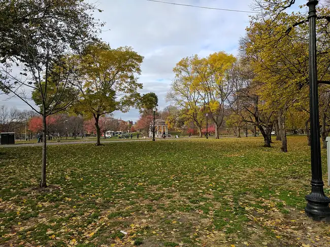 Boston Common in the fall