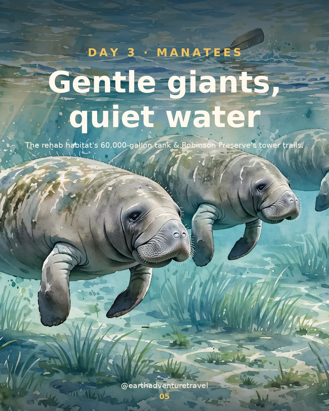 Day 3 itinerary card: manatees in clear spring water