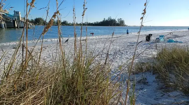 Late afternoon light on Coquina Beach