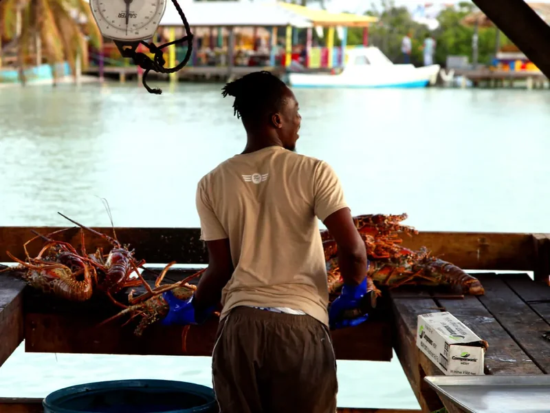 A man holding a spiny lobster on Cow Wreck Beach, Anegada