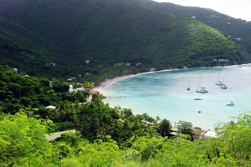 The curved beach and palms of Cane Garden Bay on Tortola