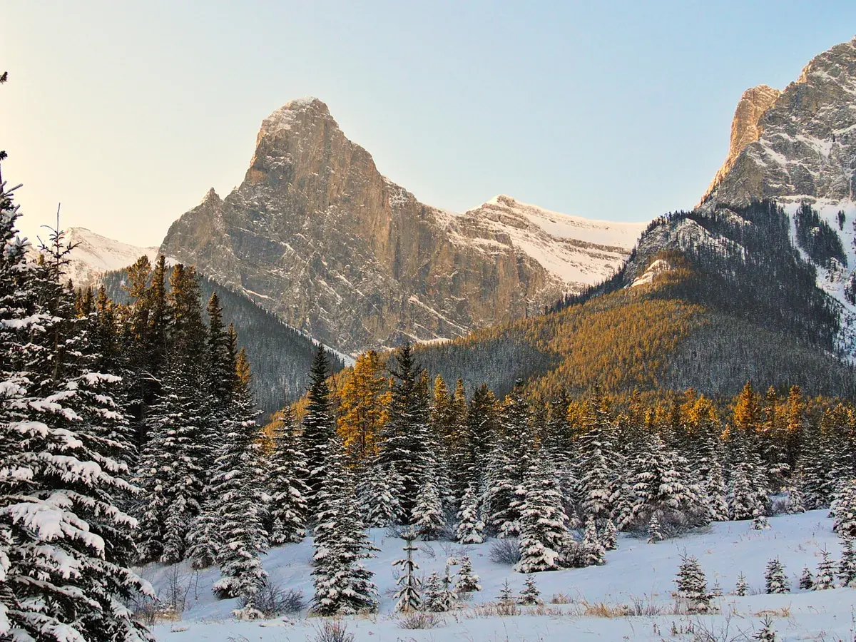 Snowy spruce forest at the Canmore Nordic Centre with a rugged peak lit by morning sun