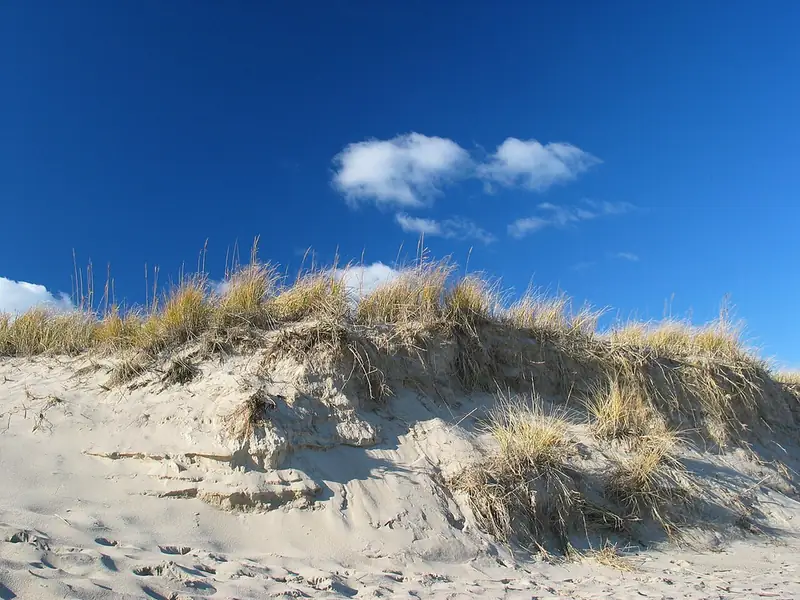 Cape Cod beach with dunes
