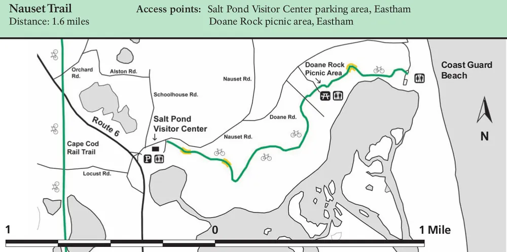 Biking the Cape Cod Rail Trail