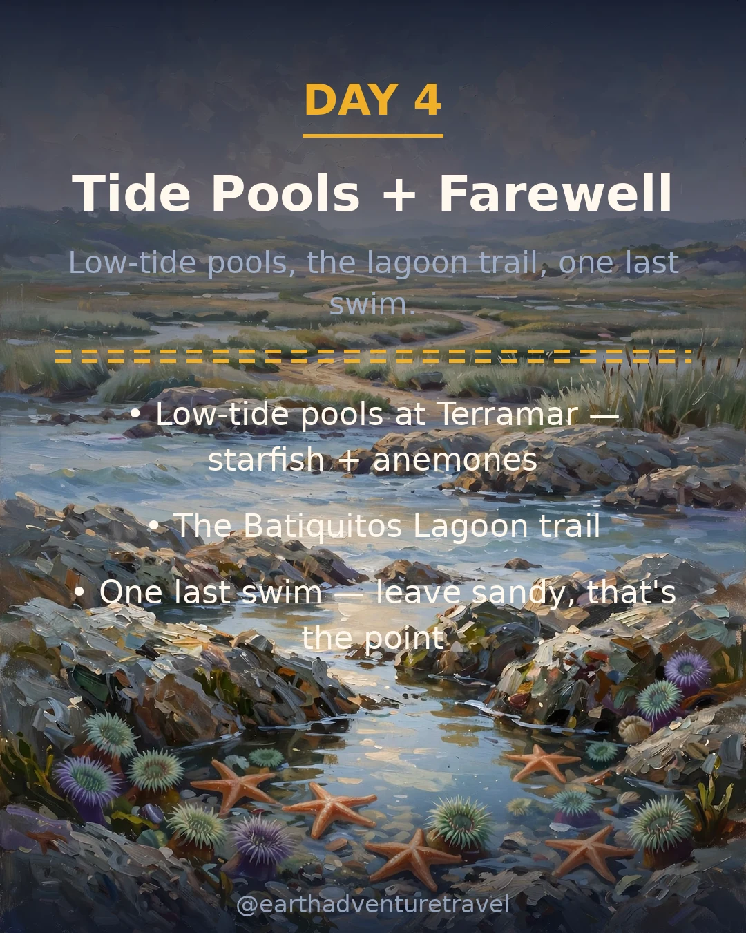 Day 4 graphic: tide pools and the lagoon on Carlsbad's last morning