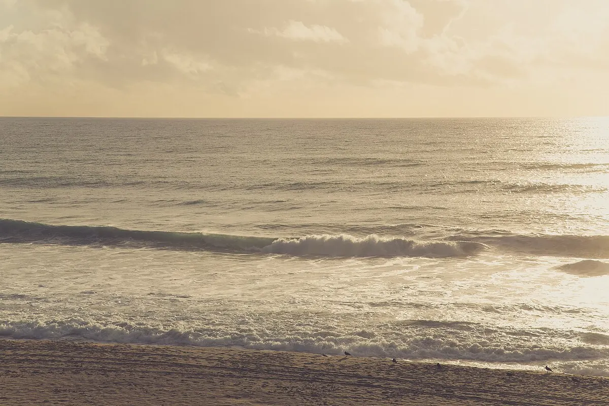 Carlsbad State Beach at sunset, waves rolling onto golden sand