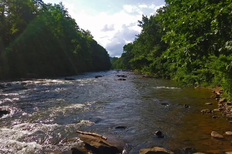 The Esopus Creek flowing over rocks between wooded banks above Phoenicia