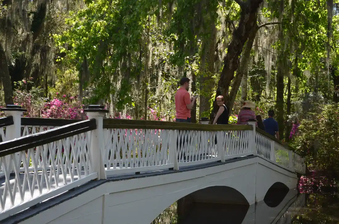 Magnolia Plantation gardens