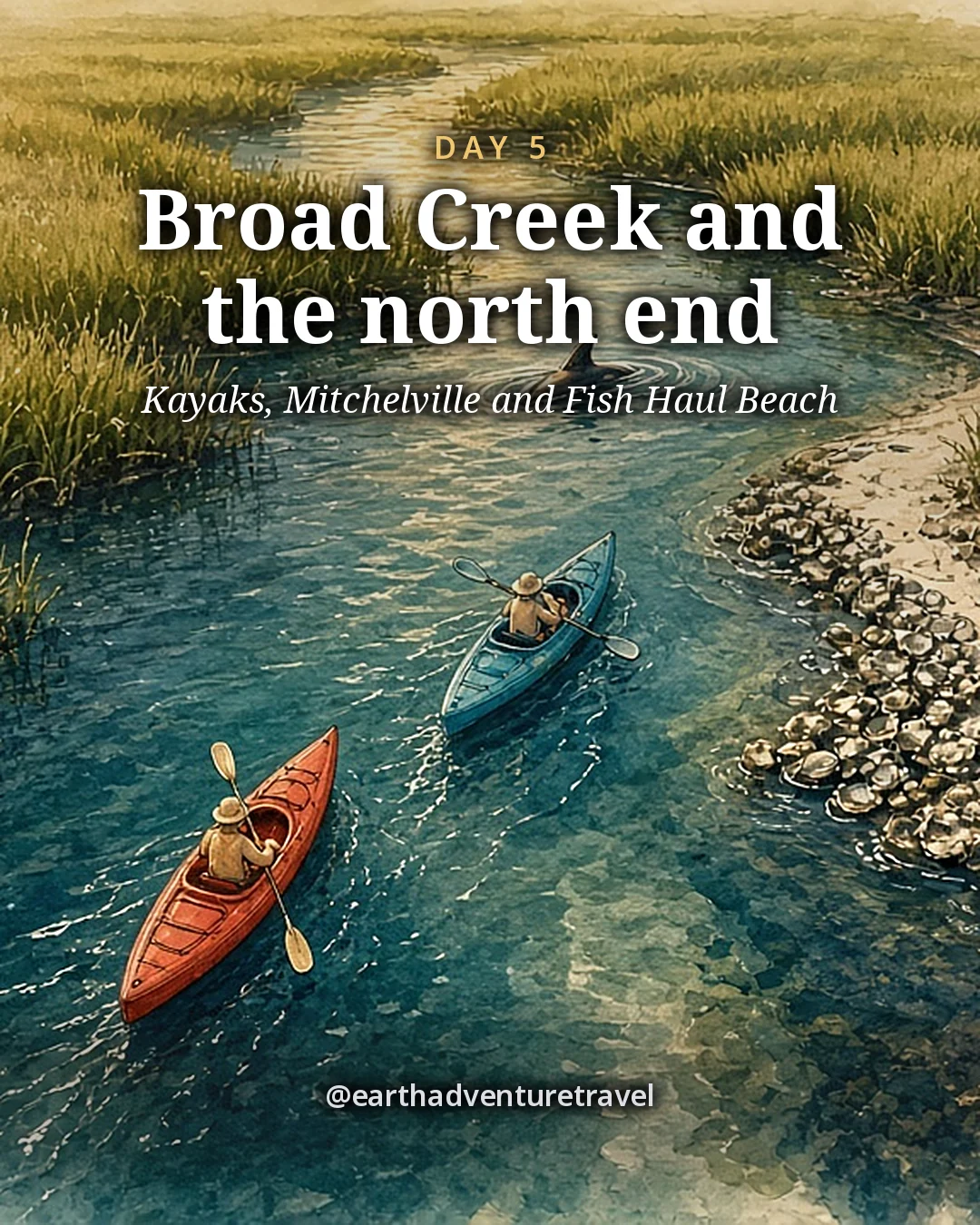 Illustration: two kayaks seen from above on a calm green tidal creek, with marsh grass on both sides and a dolphin fin breaking the water nearby, illustrated day card for Day 5