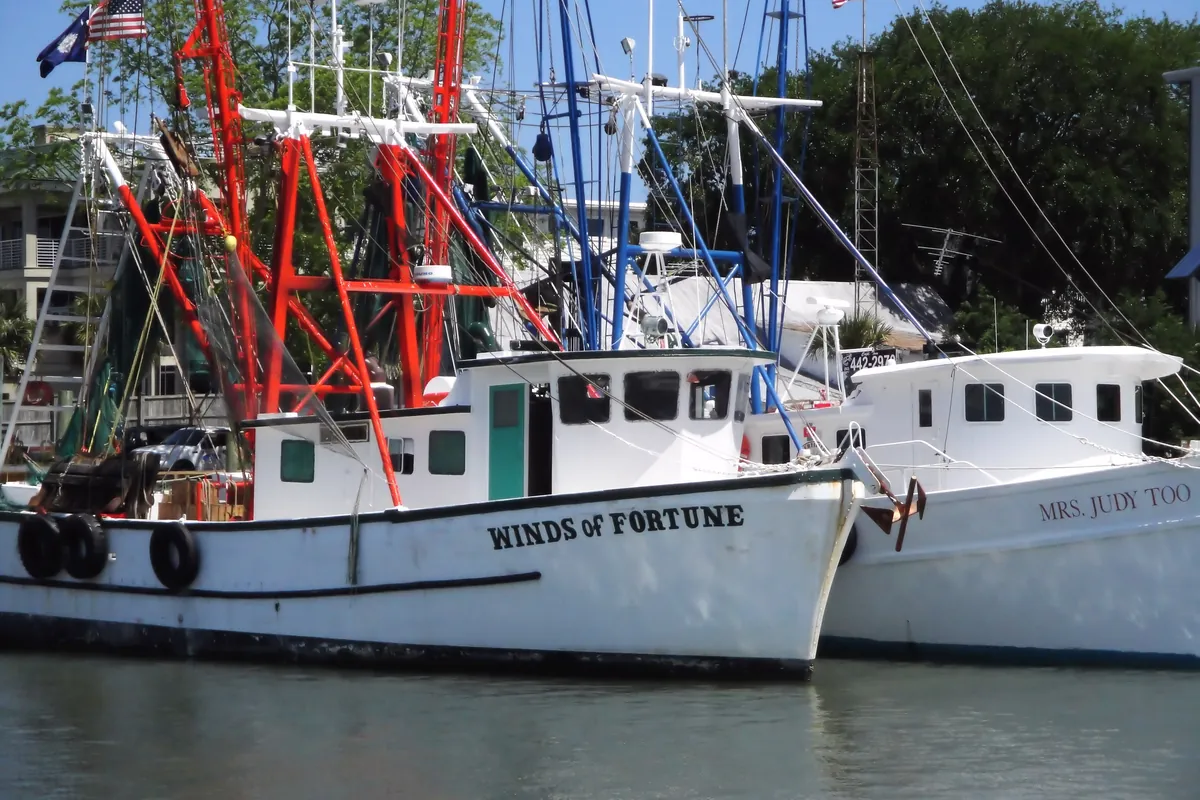 Shrimp boats tied up along the docks of Shem Creek in Mount Pleasant, South Carolina