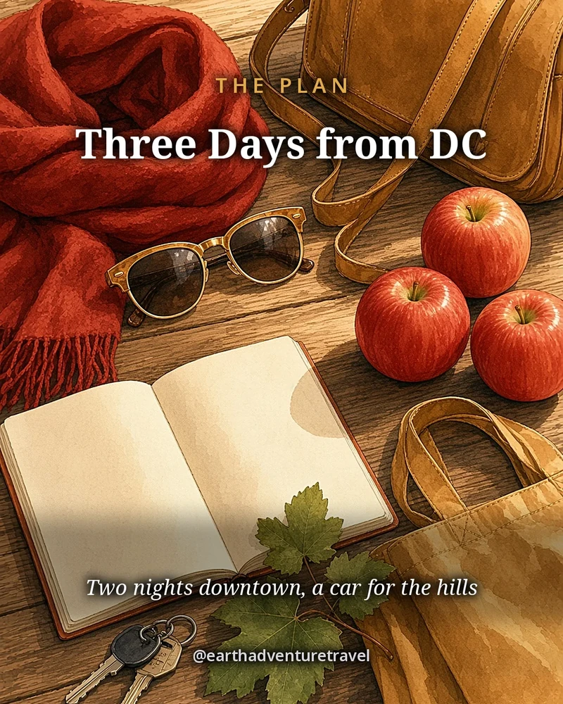 Illustration: an overhead flat lay for a Charlottesville weekend, with a wine glass, apples, a quill and a folded map, original illustrated plan card
