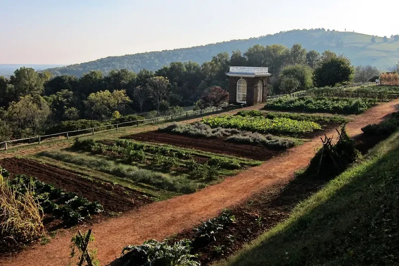 Terraced vegetable beds and a red-dirt path at Monticello, with a small brick garden pavilion and wooded hills behind