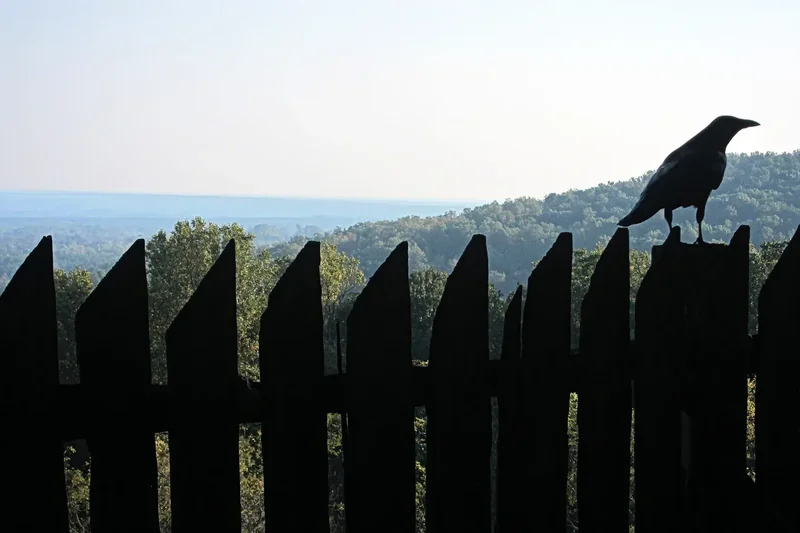 A crow perched on a dark wooden paling fence at Monticello, with hazy wooded hills in the distance