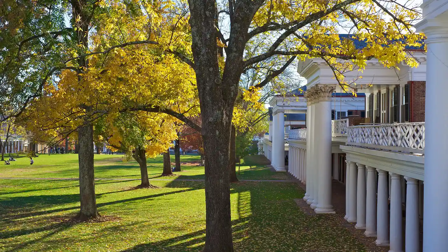 The West Lawn colonnade at the University of Virginia under yellow autumn trees