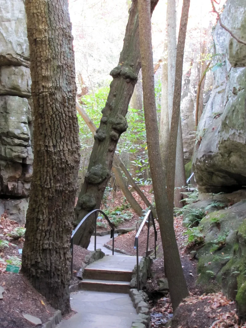The trail at Rock City