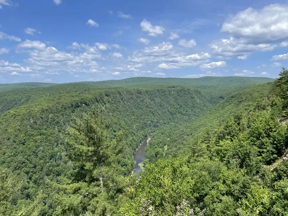 Pine Creek Gorge, the Grand Canyon of Pennsylvania, from Leonard Harrison State Park