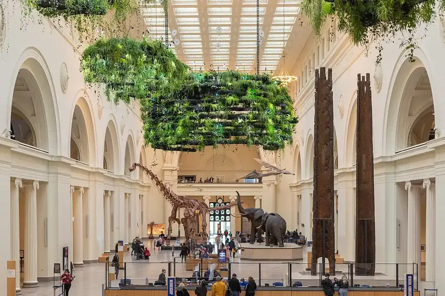 Stanley Field Hall at the Field Museum with Maximo the titanosaur