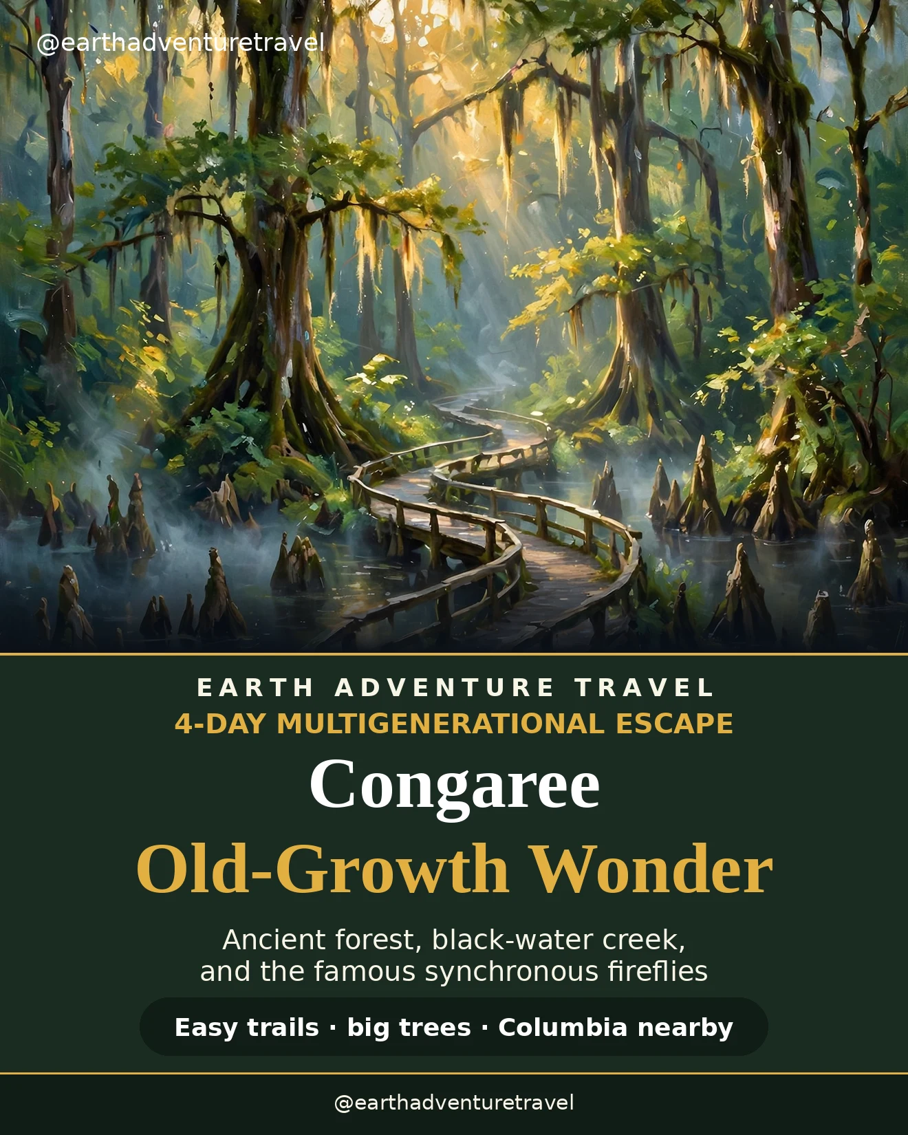 Illustrated Congaree guide cover: boardwalk through old-growth cypress swamp