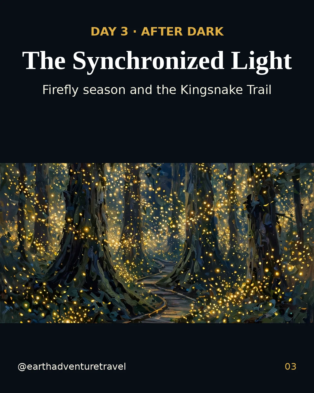 Day 3 graphic: synchronous fireflies over Congaree at night