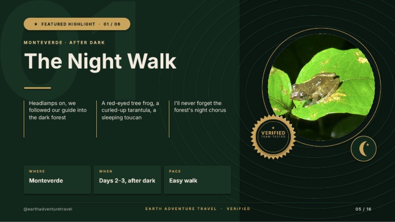 Featured highlight slide titled The Night Walk, with a frog photographed on a bright green leaf after dark