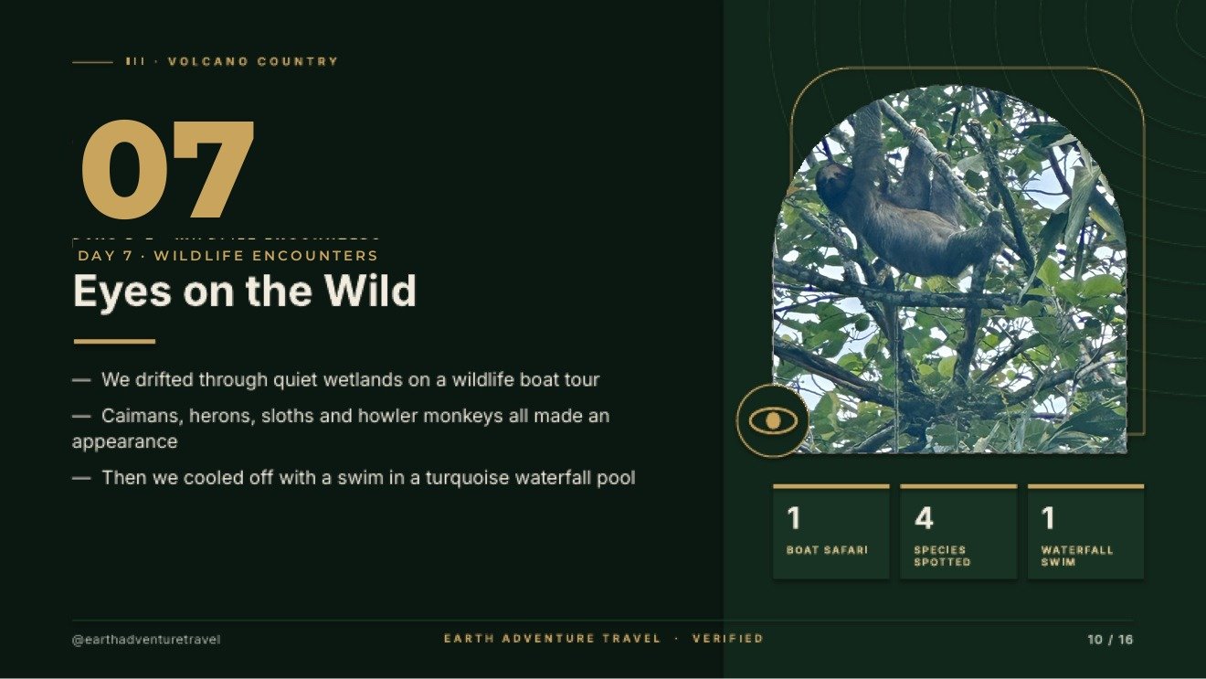 Day 7 wildlife encounters slide titled Eyes on the Wild, with a sloth resting in the forest canopy