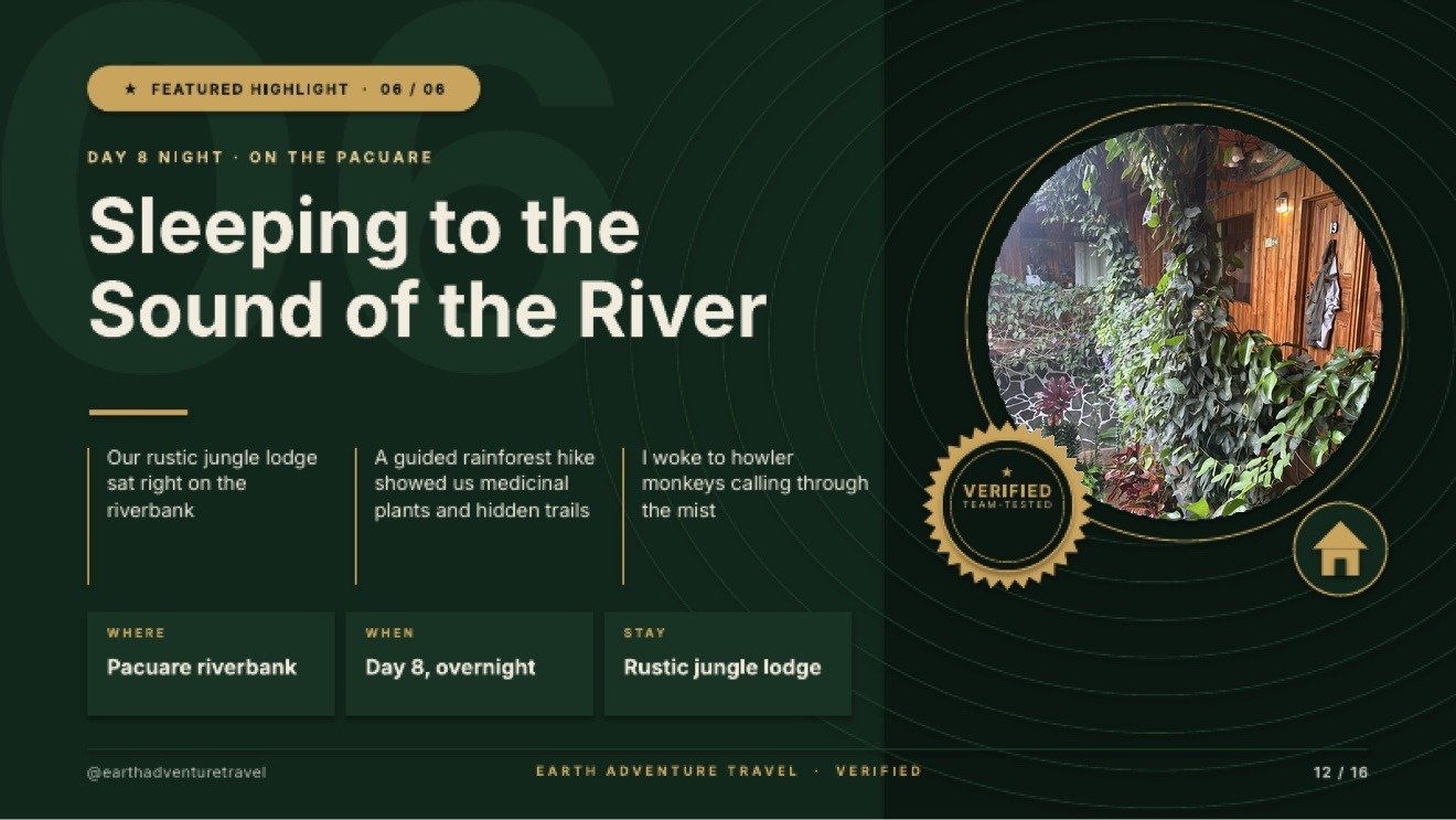 Featured highlight slide titled Sleeping to the Sound of the River, with a vine-covered wooden jungle lodge room