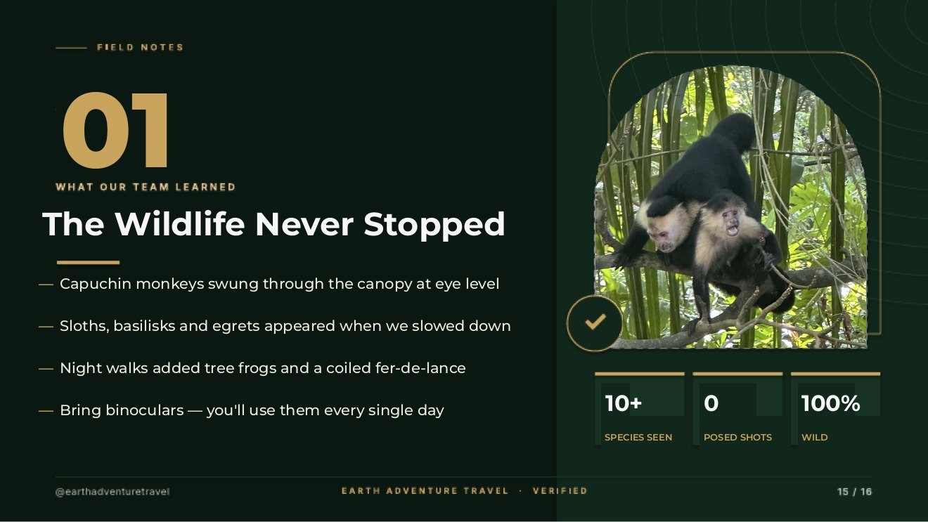 Field notes slide titled The Wildlife Never Stopped, with capuchin monkeys moving through a bamboo canopy