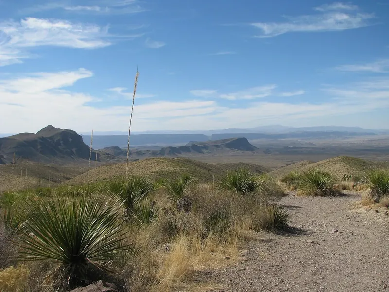 A dirt pullout and a yucca plant looking across desert ridges toward distant mountains at Sotol Vista in Big Bend