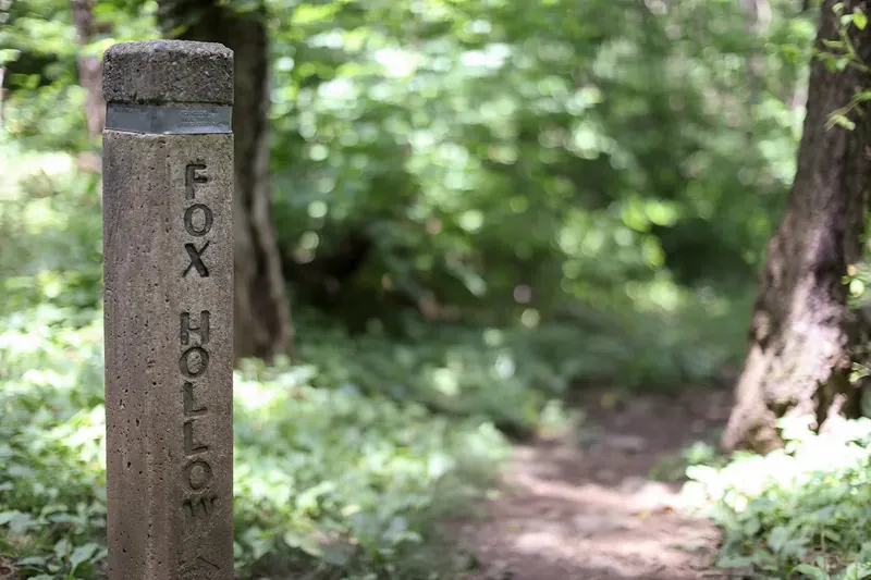 A weathered concrete trail post stamped Fox Hollow beside a leafy forest path near Dickey Ridge